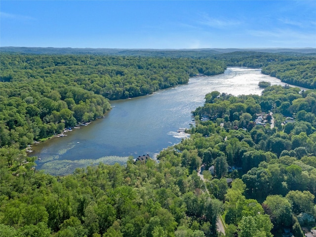 1 Lakeview Rd, South Salem, NY 10590 - aerial view of a forest and a large body of water