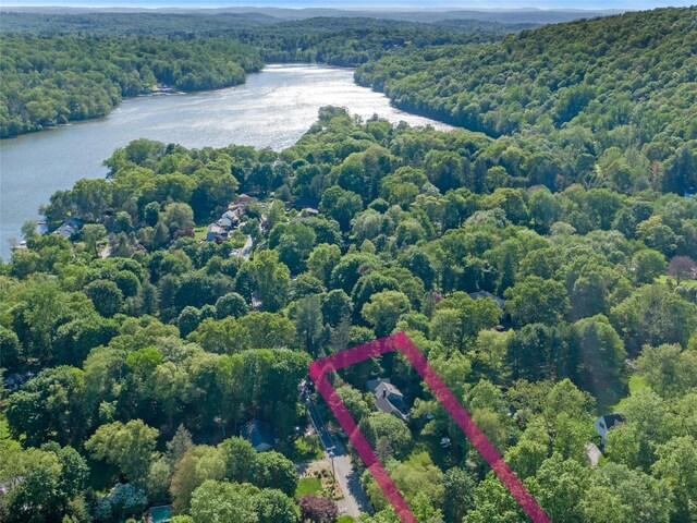 1 Lakeview Rd, South Salem, NY 10590 - aerial overview of property's location featuring a heavily wooded area, a large body of water, and property parcel outlined