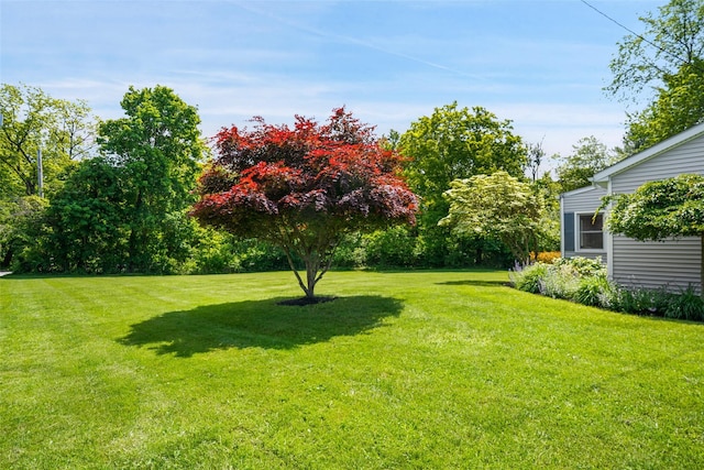 801 Syska Rd, Ossining, NY 10562 - view of grassy yard
