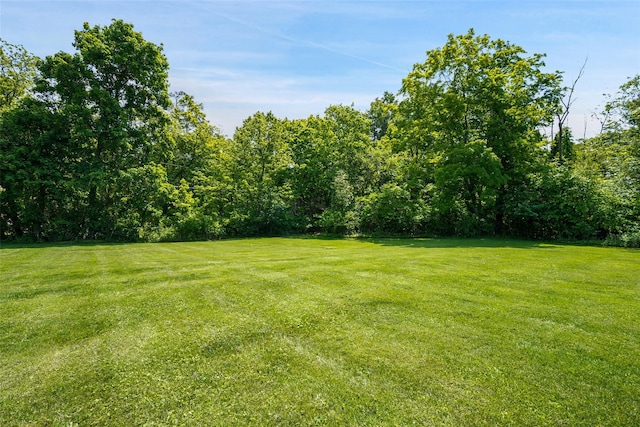 801 Syska Rd, Ossining, NY 10562 - view of green lawn with a view of trees