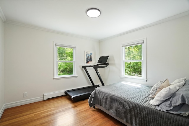 801 Syska Rd, Ossining, NY 10562 - bedroom featuring crown molding, multiple windows, light wood finished floors, and baseboards