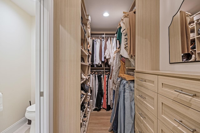 8 Bridle Path Rd, Smithtown, NY 11787 - walk in closet with light wood-style flooring