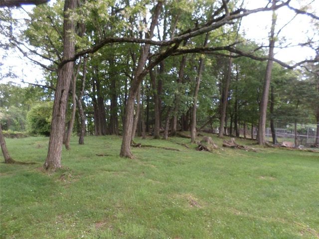 17 Johanna Ln, Monsey, NY 10952 - view of grassy yard