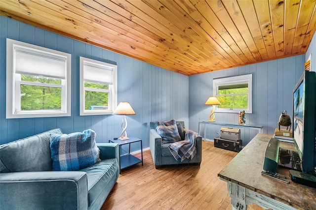 281 Hubert Rd, Jeffersonville, NY 12748 - living room with wood ceiling, wood finished floors, and wooden walls