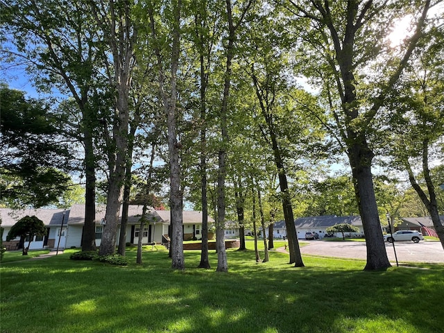 411A Weymouth Ct Unit 411A, Ridge, NY 11961 - view of green lawn featuring driveway