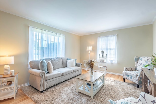 103 Woods Ave, Malverne, NY 11565 - living area featuring crown molding, wood finished floors, healthy amount of natural light, and baseboards