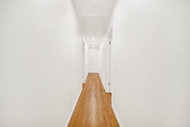 64 Lincoln Rd, Putnam Valley, NY 10579 - hall with attic access, light wood-style floors, and baseboards