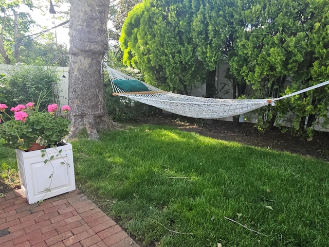 5 Seaview Ln, Port Washington, NY 11050 - view of yard