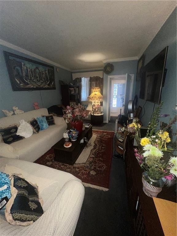 5910 Beverley Rd, Brooklyn, NY 11203 - carpeted living area featuring a textured ceiling and ornamental molding