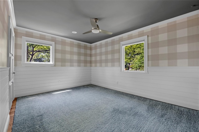 2 Driftwood Dr, Port Washington, NY 11050 - spare room with crown molding, a ceiling fan, wainscoting, and carpet floors