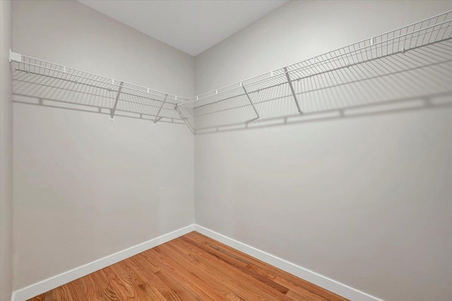 501 Iron Forge Ln, New Windsor, NY 12553 - photo 20