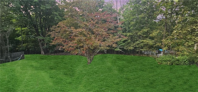 37 Starr Ave, Monticello, NY 12701 - view of green lawn featuring a wooded view