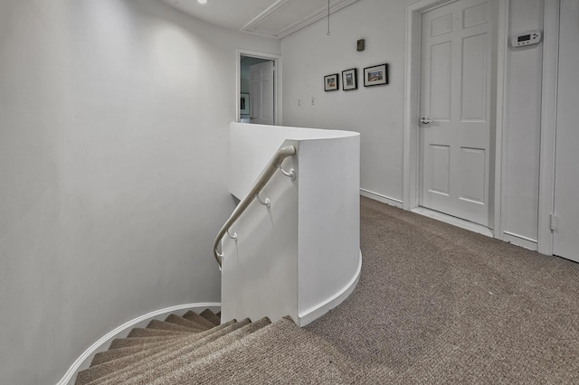 24 Cedar Ln, Sands Point, NY 11050 - staircase with attic access, carpet, and baseboards
