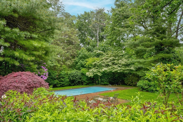 24 Cedar Ln, Sands Point, NY 11050 - view of outdoor pool