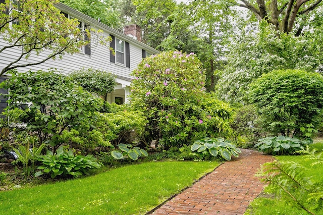 24 Cedar Ln, Sands Point, NY 11050 - view of yard