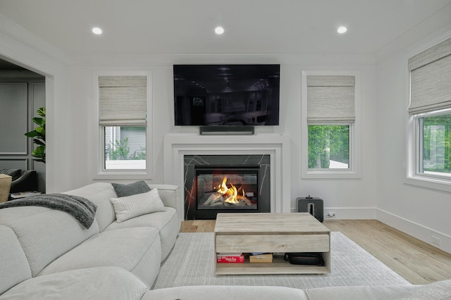 9 Wyndham Way, Port Washington, NY 11050 - living room featuring wood finished floors, baseboards, a high end fireplace, and recessed lighting