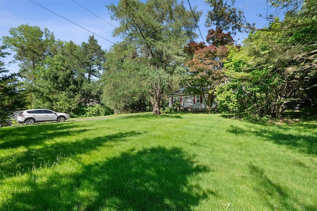 62 Buena Vista Rd, New City, NY 10956 - view of grassy yard