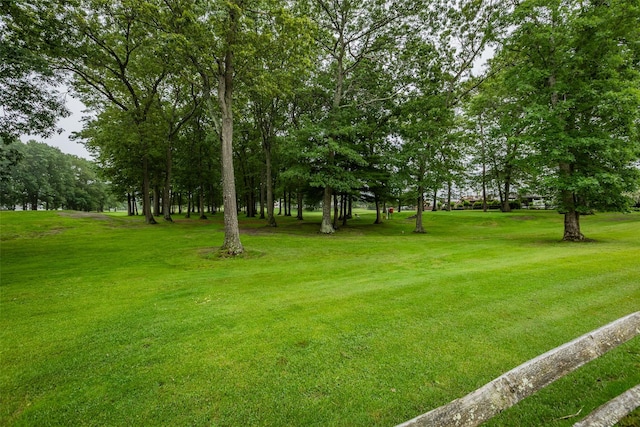75 Madison Cir, Middle Island, NY 11953 - view of green lawn