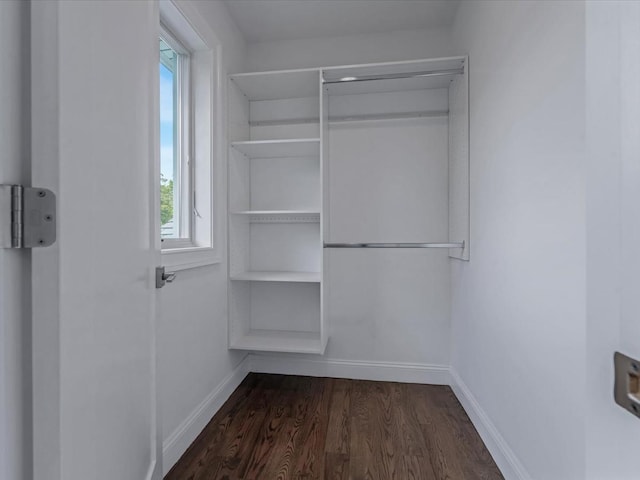 15 Grenfell Dr, Great Neck, NY 11020 - spacious closet with dark wood-style floors