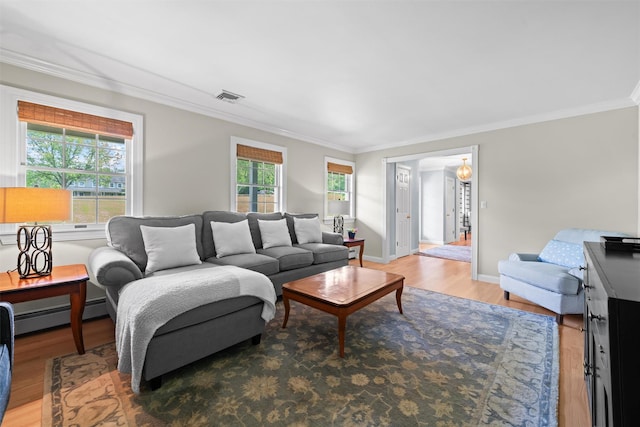 17 Jackson Ln, Campbell Hall, NY 10916 - living room with a baseboard radiator, light wood-style floors, and ornamental molding