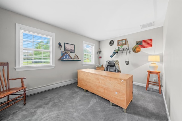 17 Jackson Ln, Campbell Hall, NY 10916 - office space featuring healthy amount of natural light and carpet