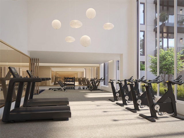 30-55 Vernon Blvd Unit 9L, Long Island City, NY 11102 - gym featuring a high ceiling, healthy amount of natural light, and carpet floors