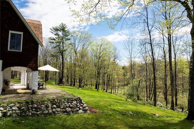 57 Dellenbaugh Rd, Cragsmoor, NY 12566 - view of grassy yard with a patio and a forest view