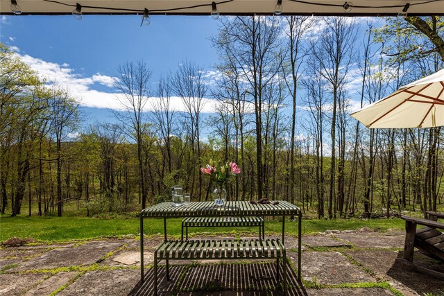 57 Dellenbaugh Rd, Cragsmoor, NY 12566 - view of yard featuring a wooded view