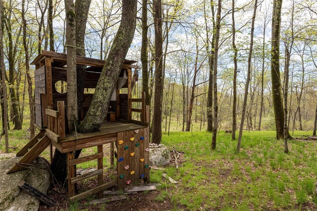 57 Dellenbaugh Rd, Cragsmoor, NY 12566 - view of yard with a view of trees