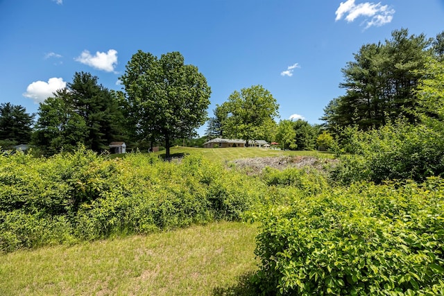 1028 Jackson Corners Rd, Red Hook, NY 12571 - view of local wilderness