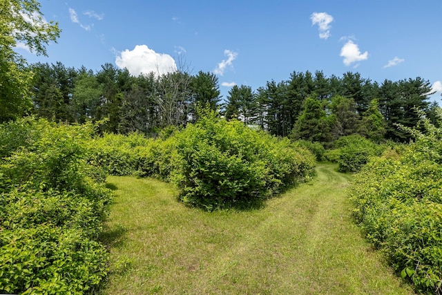 1028 Jackson Corners Rd, Red Hook, NY 12571 - view of nature