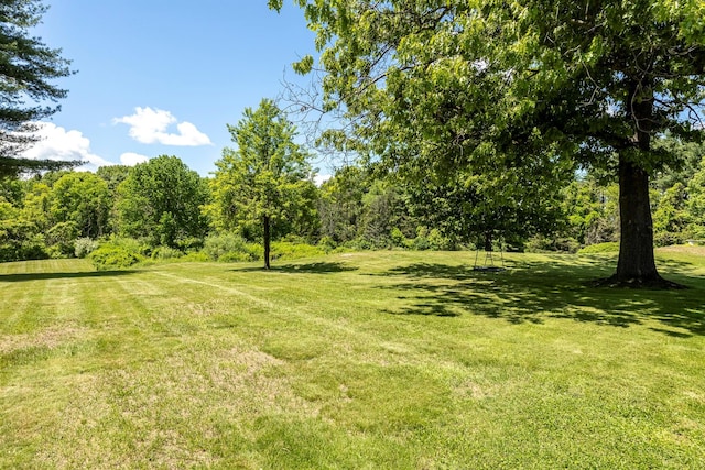 1028 Jackson Corners Rd, Red Hook, NY 12571 - view of green lawn
