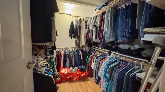 23 Kingsland Ave, Shirley, NY 11967 - spacious closet with wood finished floors