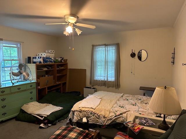 955 Deep Hole Dr, Mattituck, NY 11952 - photo 23