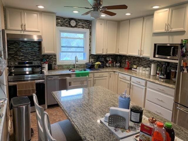 2975 Rte 9, Cold Spring, NY 10516 - kitchen featuring stainless steel appliances, ceiling fan, a sink, under cabinet range hood, and backsplash