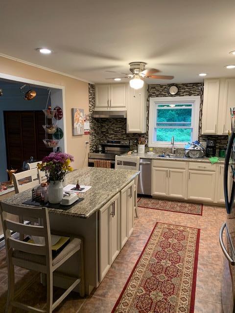 2975 Rte 9, Cold Spring, NY 10516 - kitchen with stainless steel appliances, under cabinet range hood, tasteful backsplash, a sink, and recessed lighting
