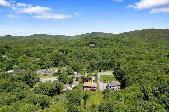 2975 Rte 9, Cold Spring, NY 10516 - aerial view of a forest and a mountainous background