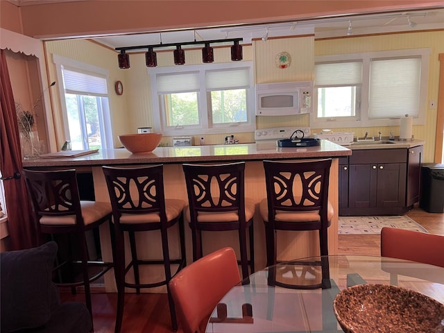 23 N Seminole Trl, Bethel, NY 12778 - kitchen featuring white microwave, rail lighting, stove, a breakfast bar, and light wood finished floors