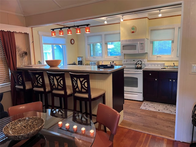 23 N Seminole Trl, Bethel, NY 12778 - kitchen featuring white appliances, a kitchen bar, wood finished floors, ornamental molding, and plenty of natural light