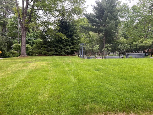 23 N Seminole Trl, Bethel, NY 12778 - view of grassy yard with a garden