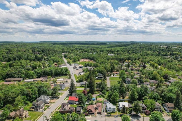 7 Lake St, Monticello, NY 12701 - aerial perspective of suburban area featuring a heavily wooded area