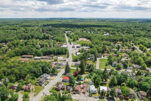 7 Lake St, Monticello, NY 12701 - aerial view of residential area with a forest