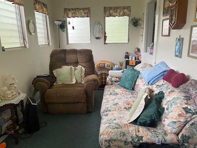 191 Sylvan Lake Rd Unit 5, Hopewell Junction, NY 12533 - view of carpeted living room