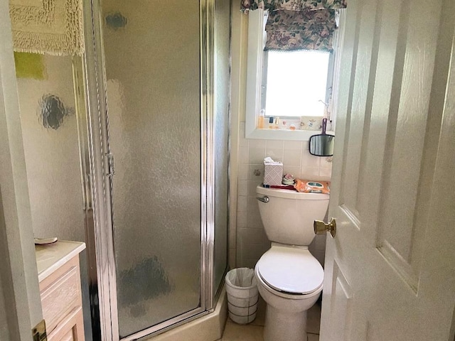 191 Sylvan Lake Rd Unit 5, Hopewell Junction, NY 12533 - bathroom with a stall shower, toilet, vanity, and tile walls