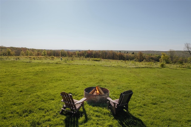 877 Shandelee Rd, Livingston Manor, NY 12758 - view of grassy yard with a fire pit and a rural view