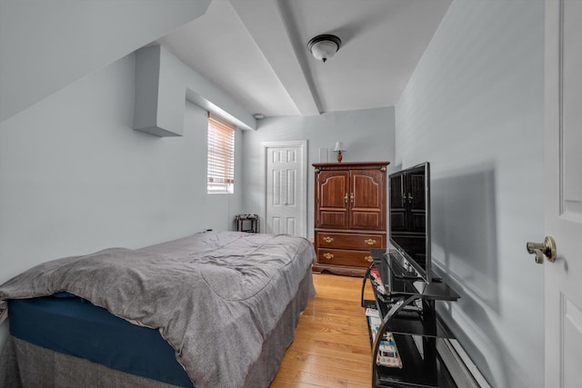 1627 Research Ave, Bronx, NY 10465 - bedroom with light wood-style flooring and a closet