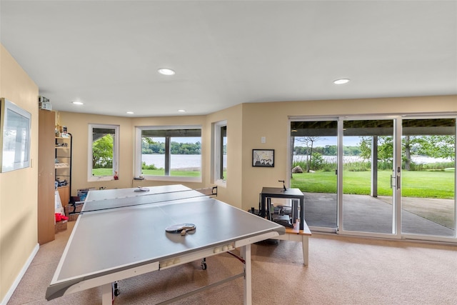 17 Youngs Ln, Setauket, NY 11733 - photo 27
