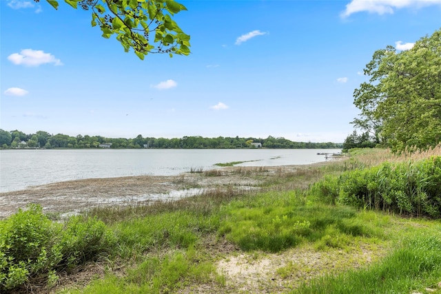 17 Youngs Ln, Setauket, NY 11733 - photo 31