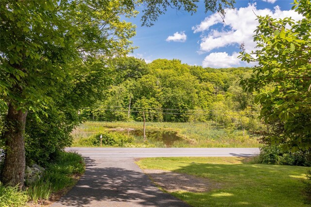 42 Harmony Rd, Pawling, NY 12564 - view of asphalt street featuring a wooded view