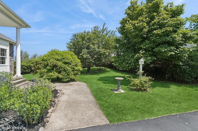 195 Old Castle Point Rd, Wappingers Falls, NY 12590 - view of grassy yard